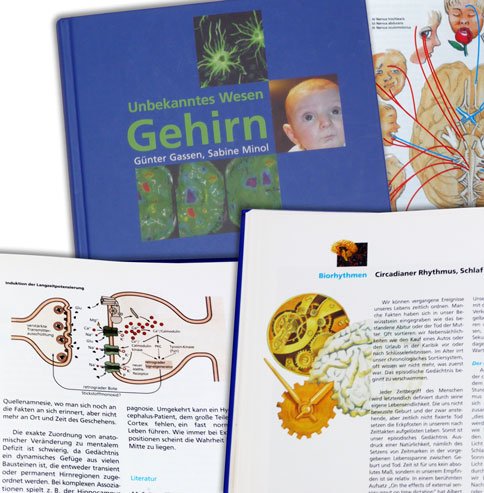 Sachbuch Hirnforschung